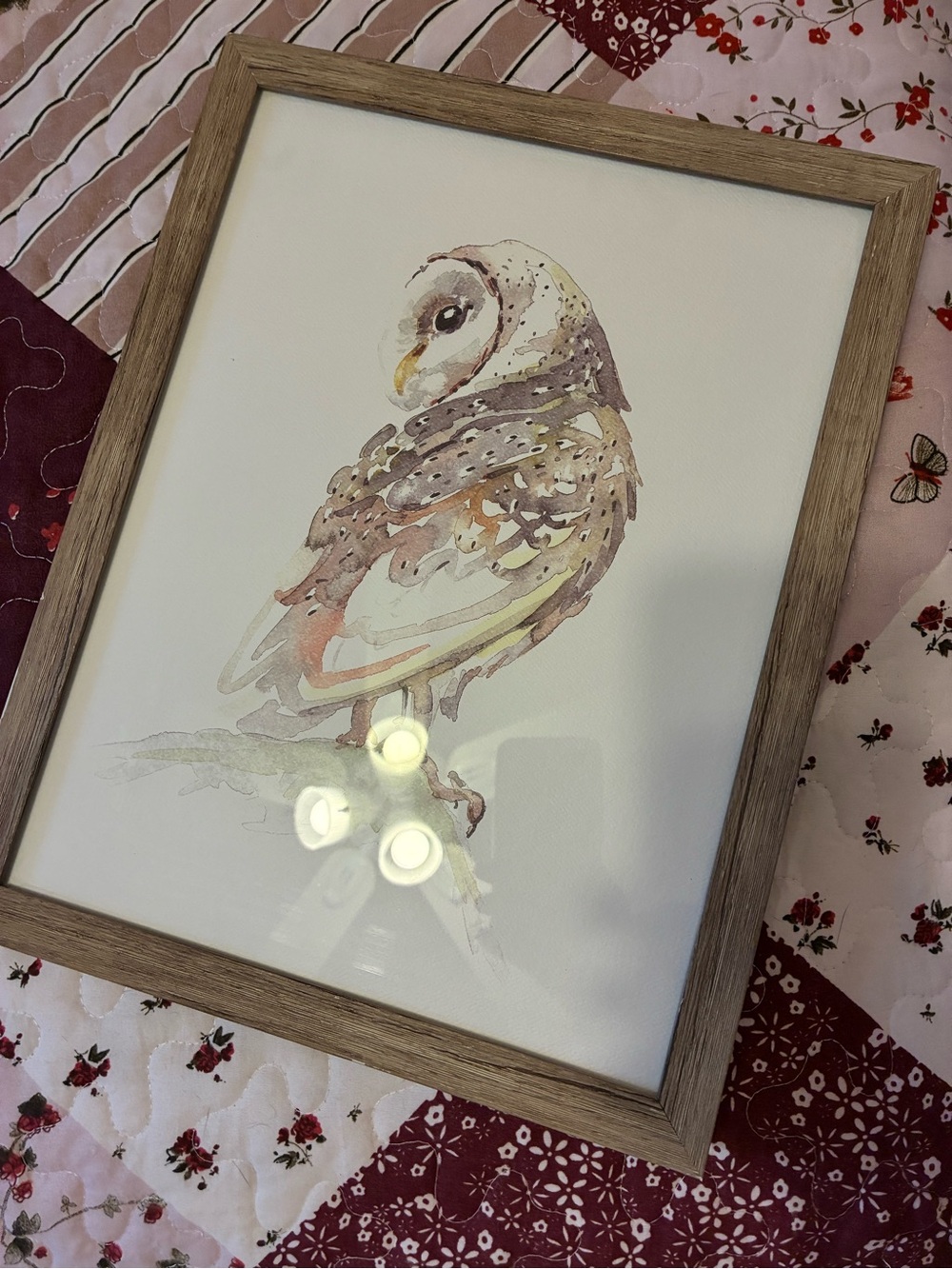 Watercolor Owl Wall Art 🤍 🦉